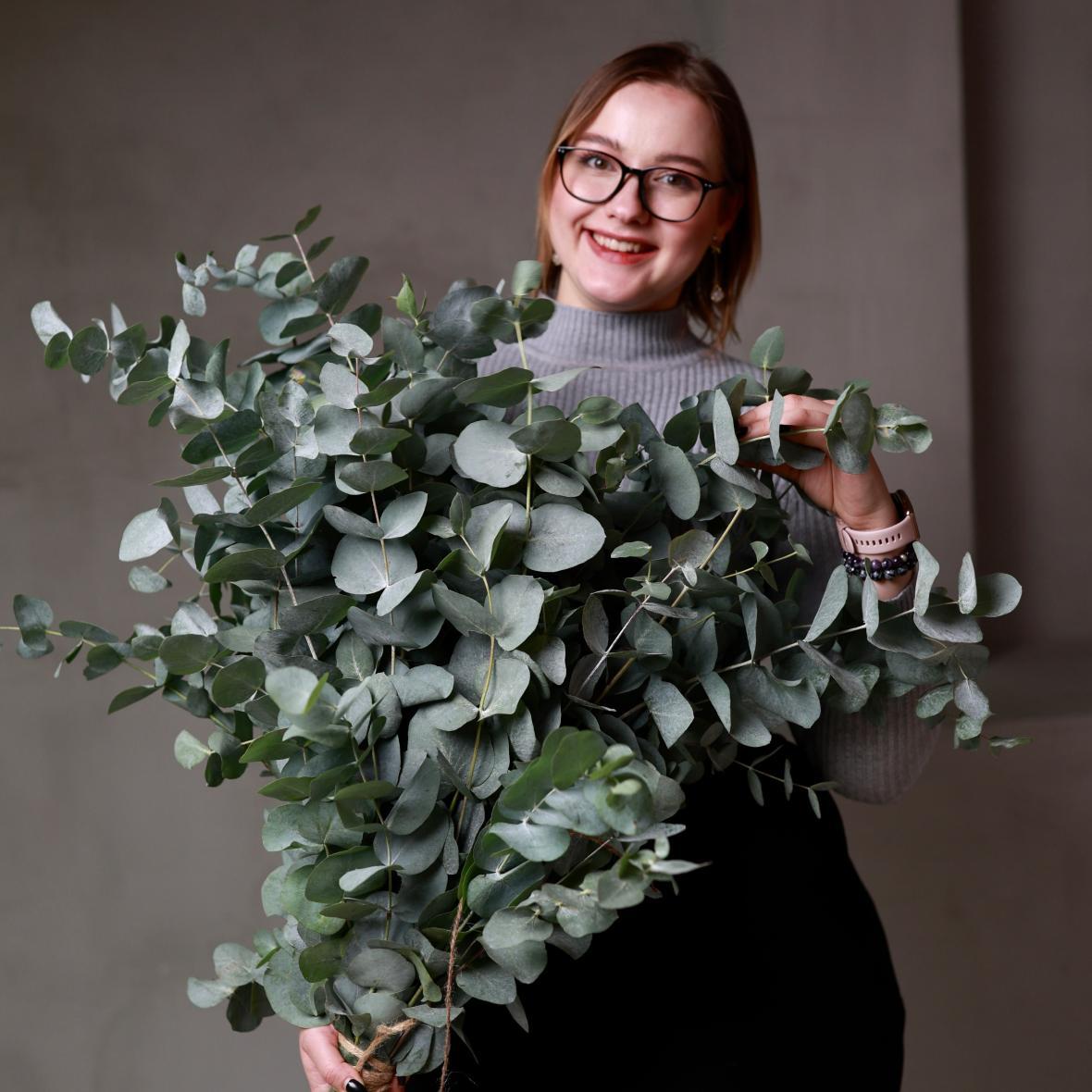 Ветки эвкалипта