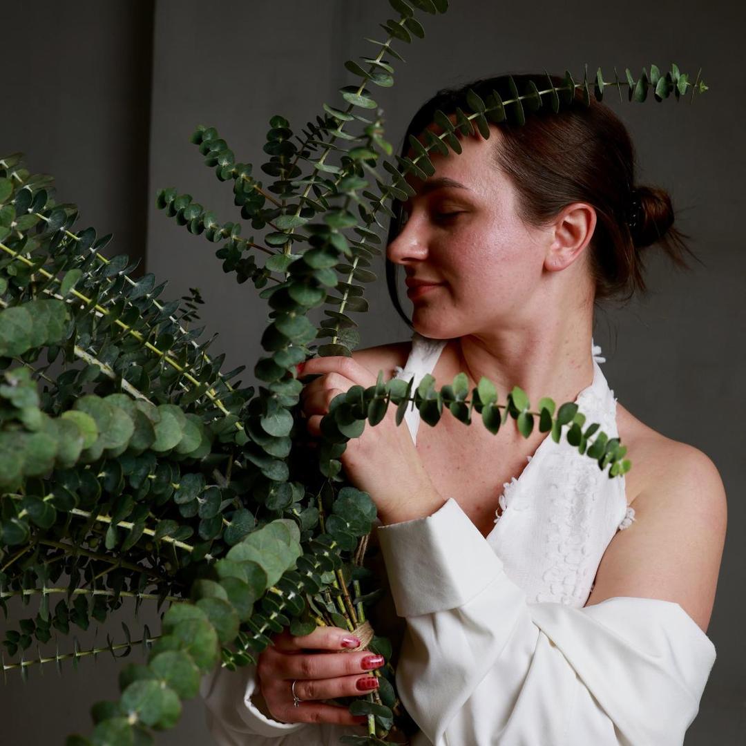 Ветки эвкалипта