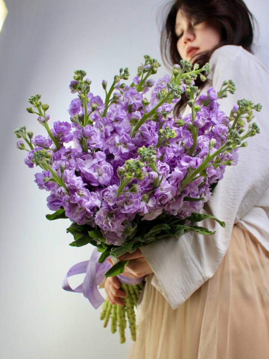 Маттиола Milka