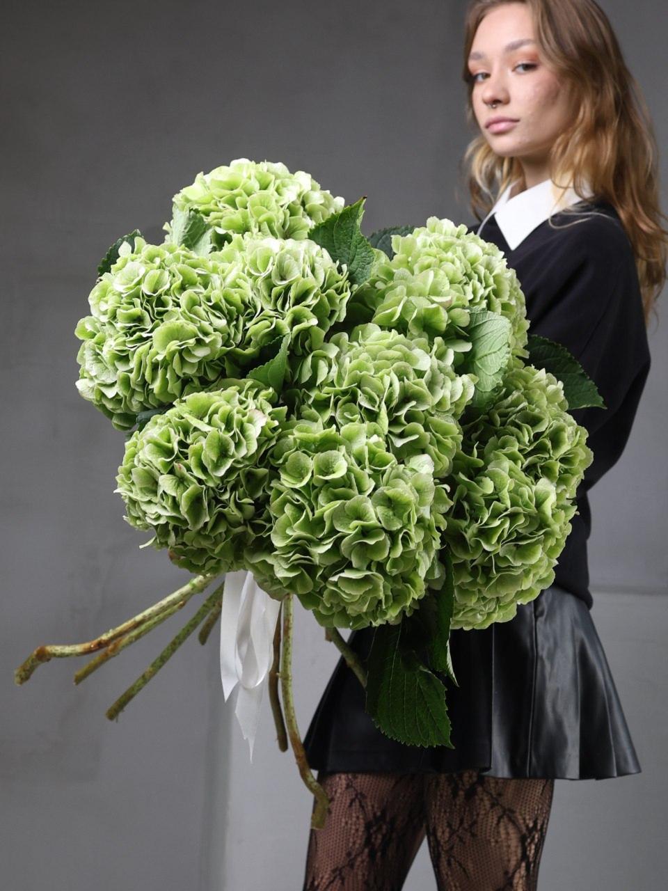Гортензия GREEN