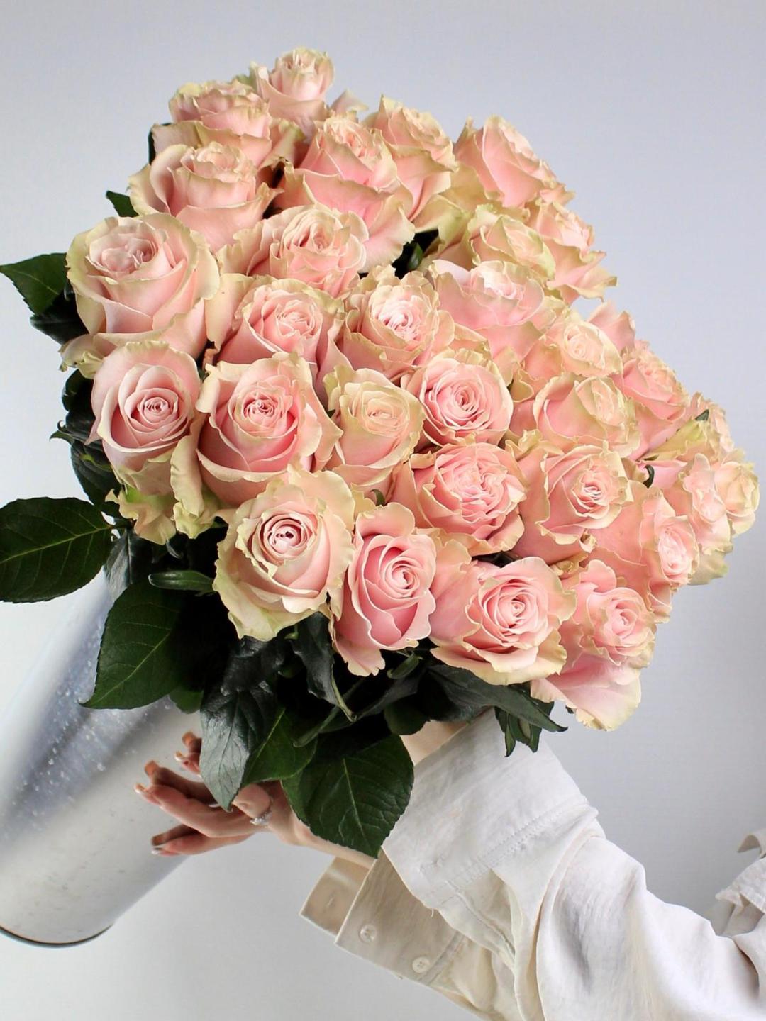 Роза Эквадор Pink Mondial 60 см