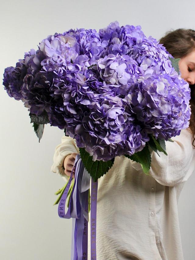 Гортензия Milka