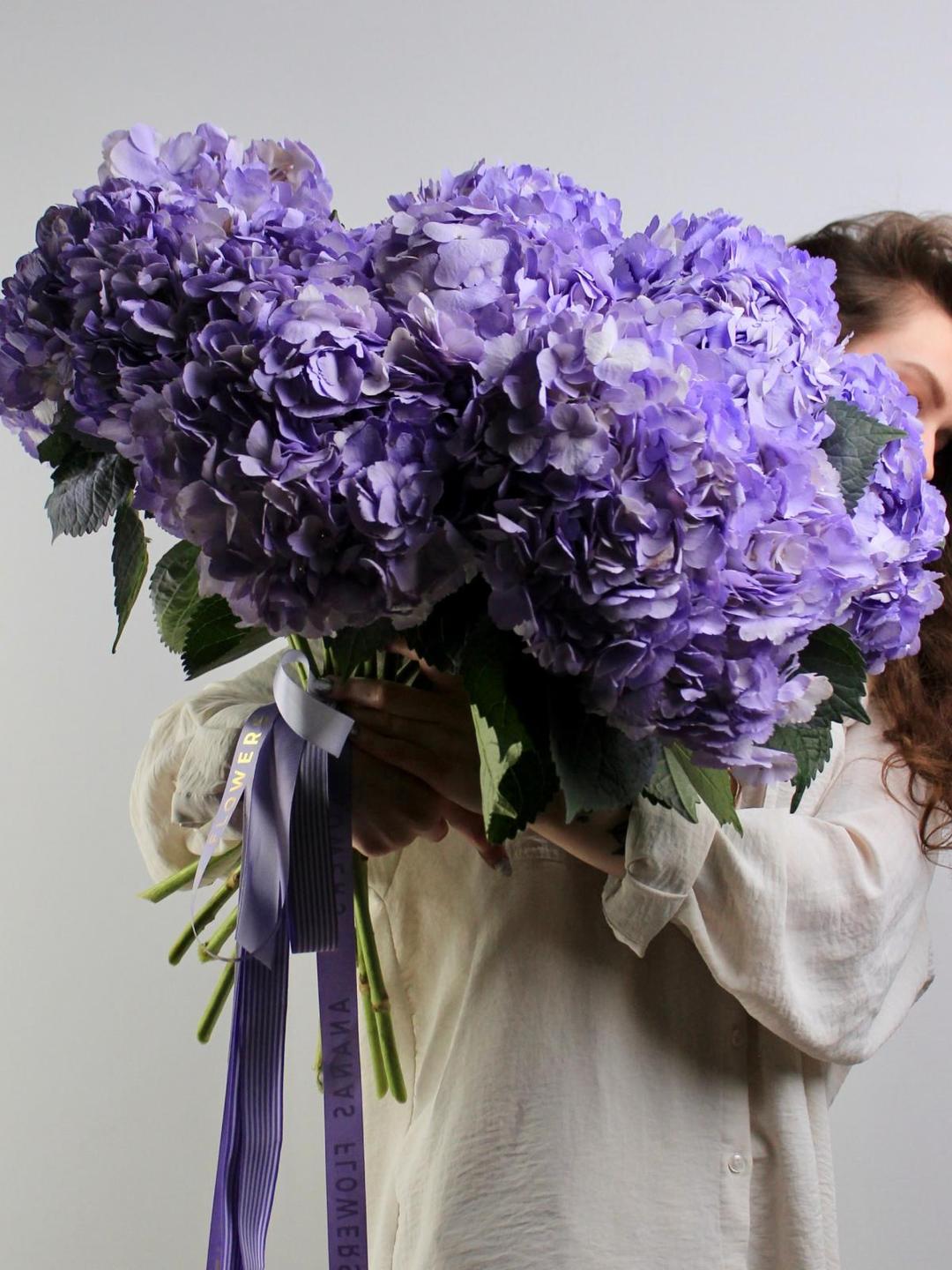 Гортензия Milka