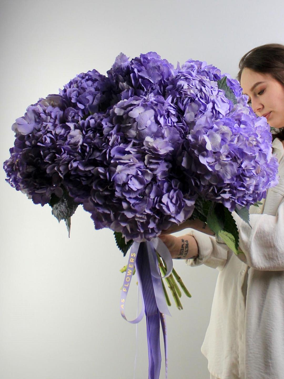 Гортензия Milka
