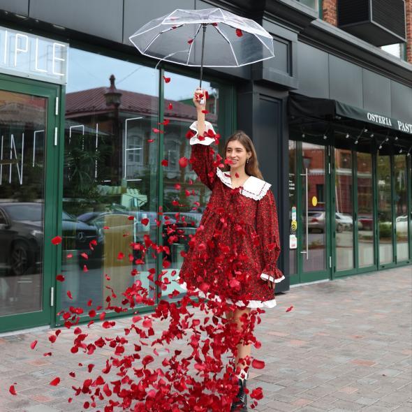 Лепестки роз (доступны по предзаказу)