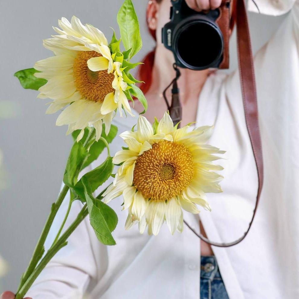Подсолнух Yellow