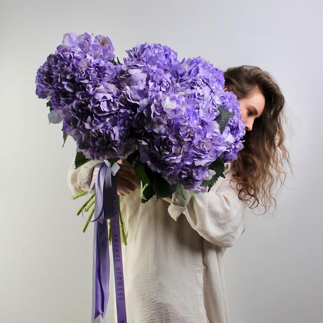 Гортензия Milk