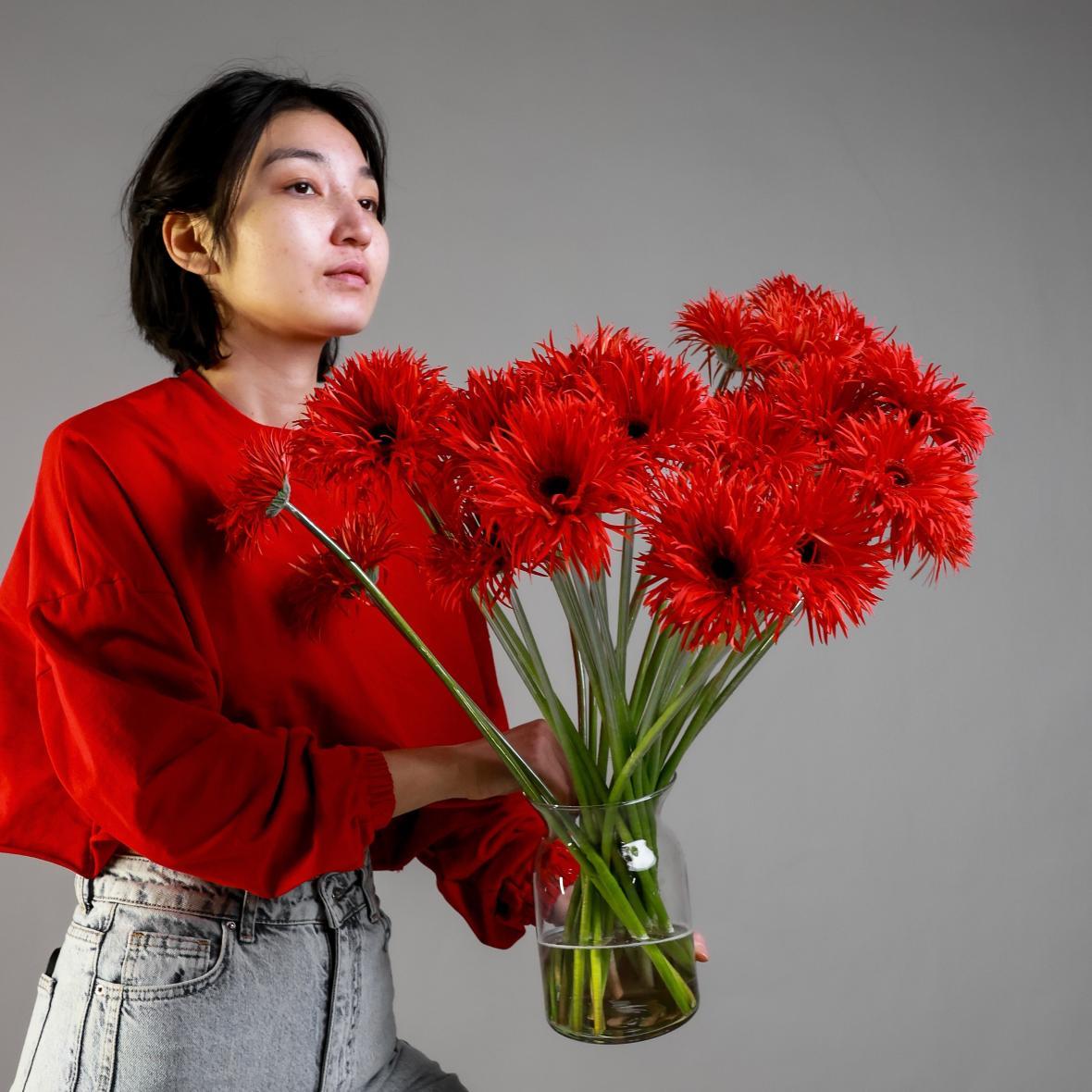 Гербера сортовая RED