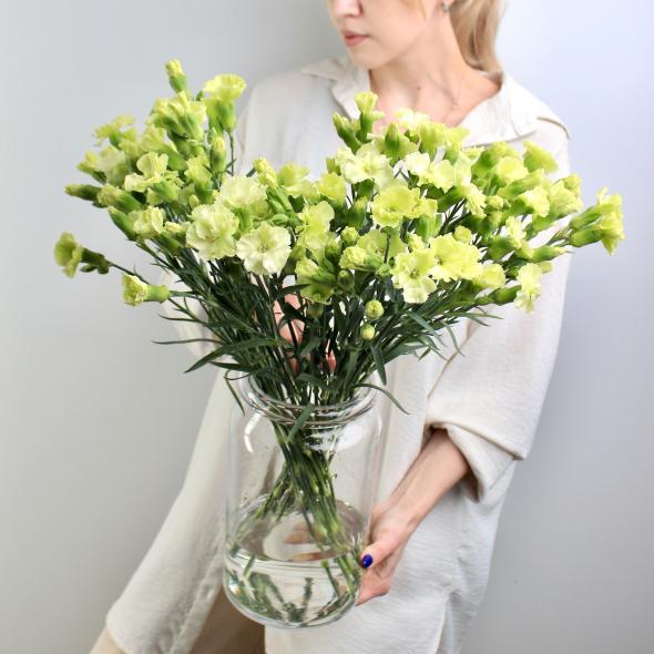 Кустовая гвоздика green