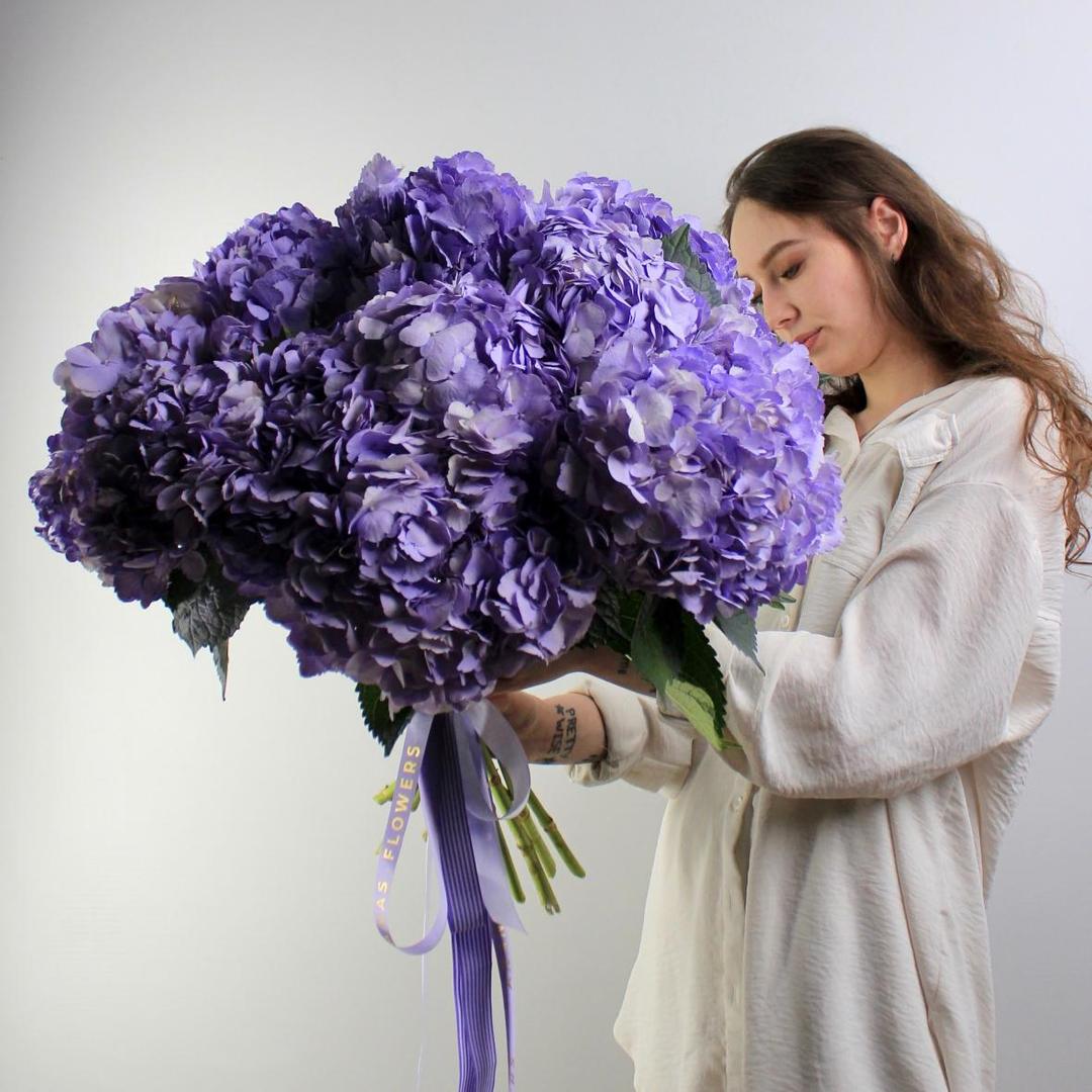 Гортензия Milka