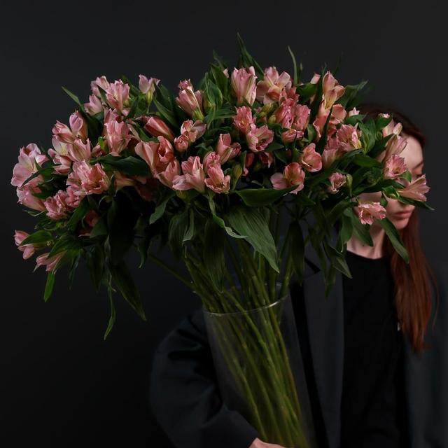 Альстромерия (цвет микс) Альстромерия (цвет микс)