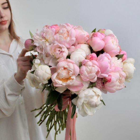 Пион розовый (цена за 1 шт)