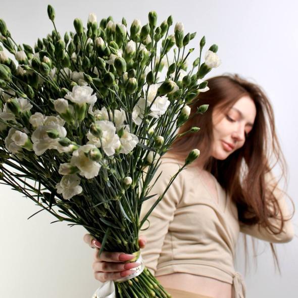 Гвоздика кустовая белая