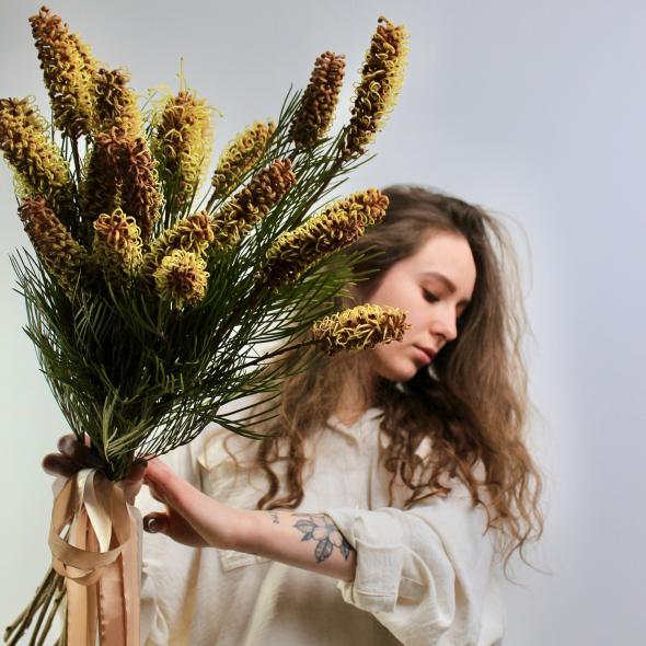 Гревиллея Спайдермен