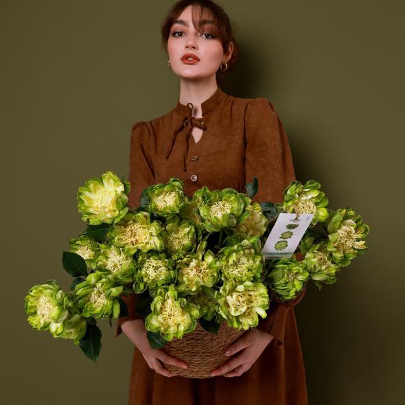 Роза сортовая VEGGIE