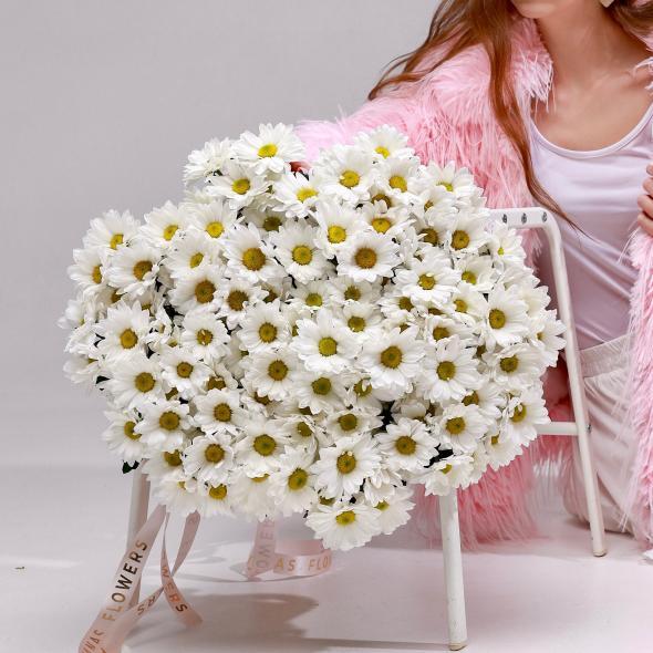 Хризантема кустовая (белая)