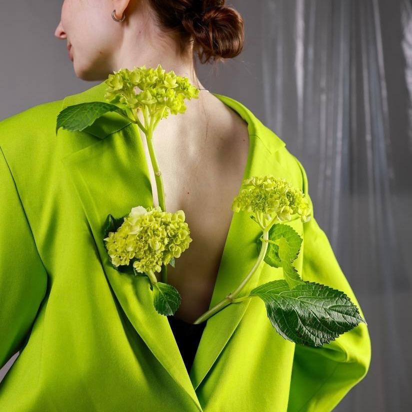 Гортензия мини